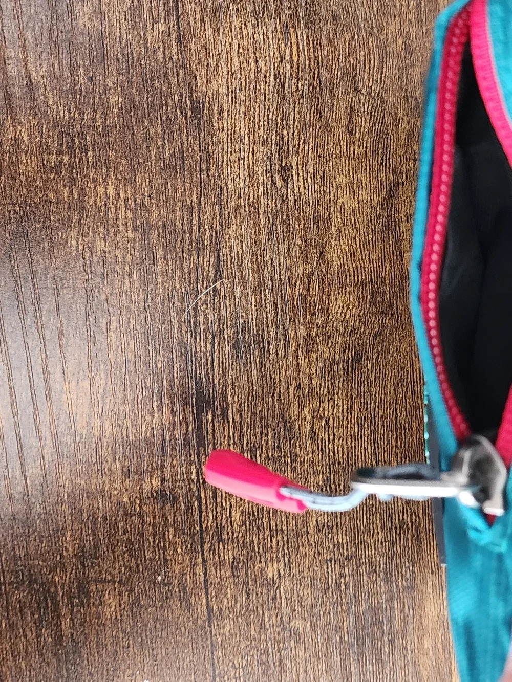 N/A dog training